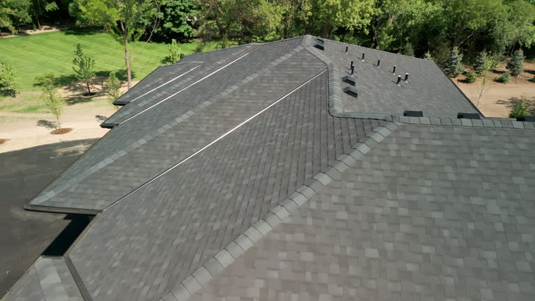 Best Metal Roofing Installation  in Edina, MN