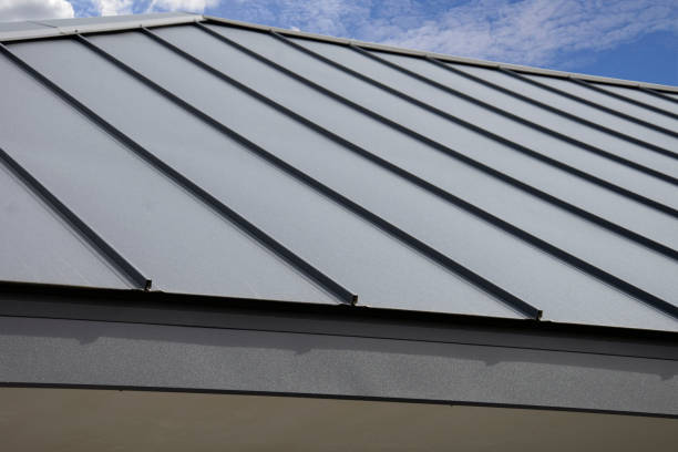 Best Steel Roofing  in Edina, MN